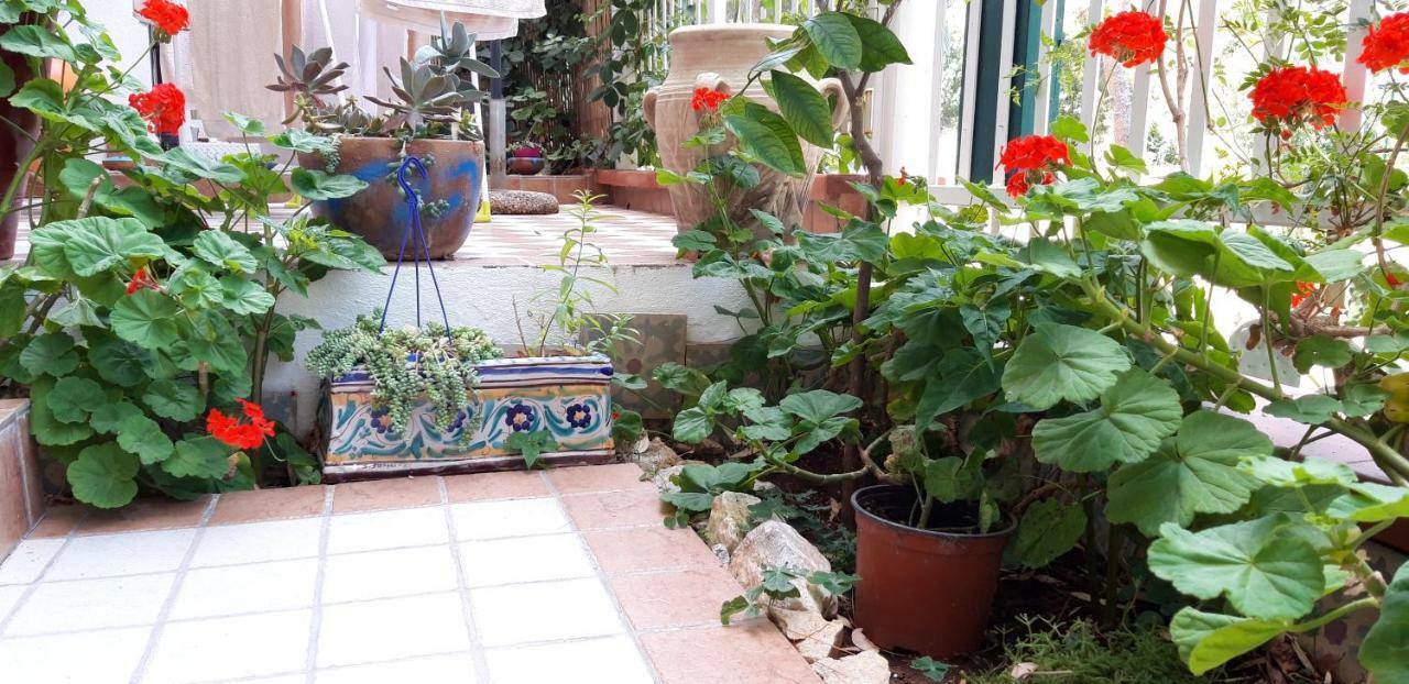 Casa Perciata - Locazione Turistica Διαμέρισμα Mondello Εξωτερικό φωτογραφία